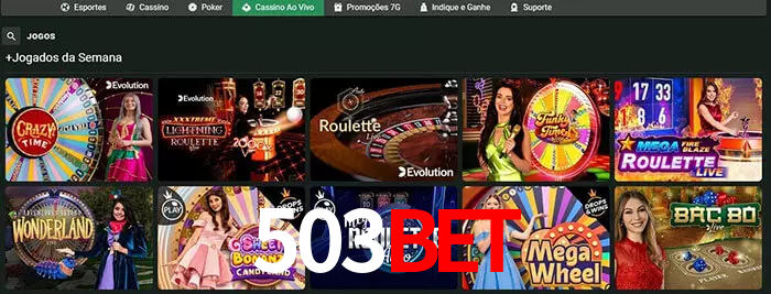 503bet bet