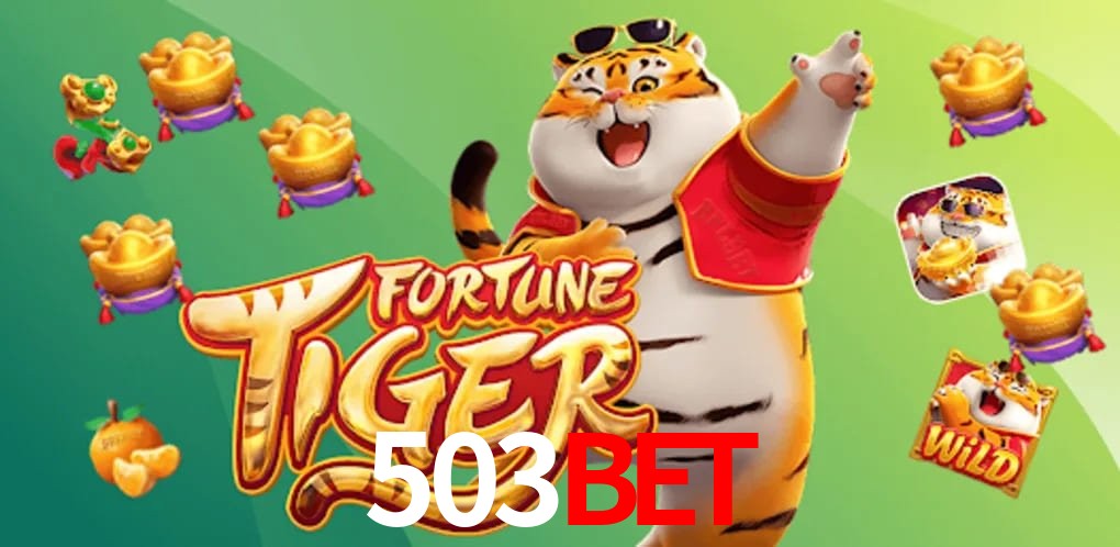 Game Statistics 503bet
